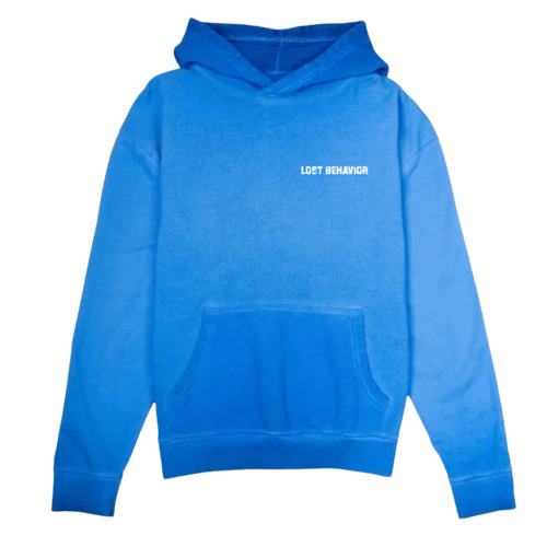 Washed Logo Hoodie