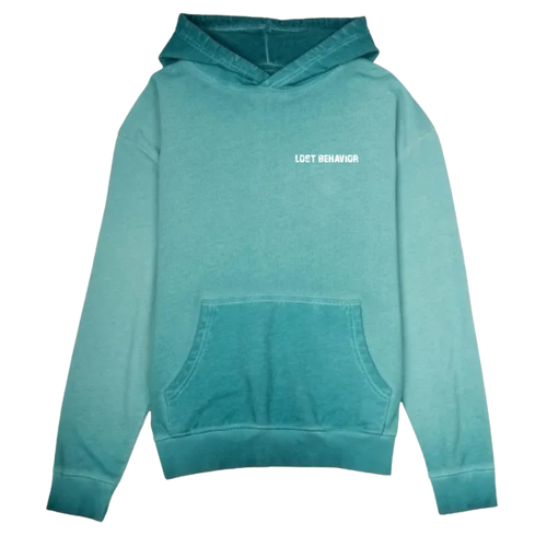 Washed Logo Hoodie